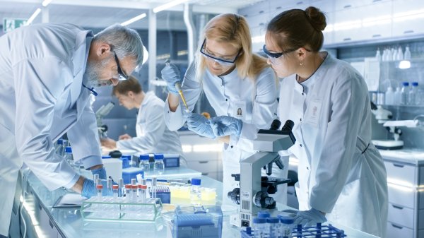 Globale Pressemitteilungen spielen eine entscheidende Rolle für Fachleute und Wissenschaftler.