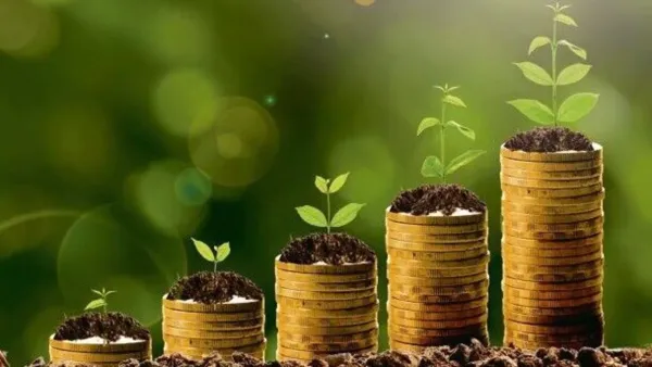 Länder mit starken Volkswirtschaften und klaren internationalen Geschäftsstrategien ziehen eher erhebliche ausländische Investitionen an, was zu einem Anstieg des BIP-Wachstums, einer Verbesserung der Infrastruktur und einer Steigerung der Lebensqualität f