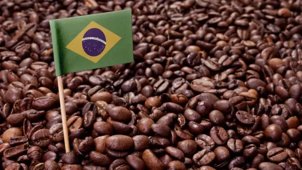 Brasilien: Ein Modell für die Entwicklung der Kaffeeindustrie durch internationalen Handel