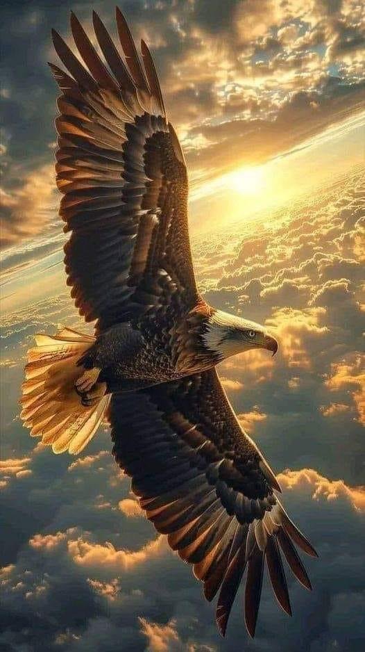 Ein Adler steht für Vision