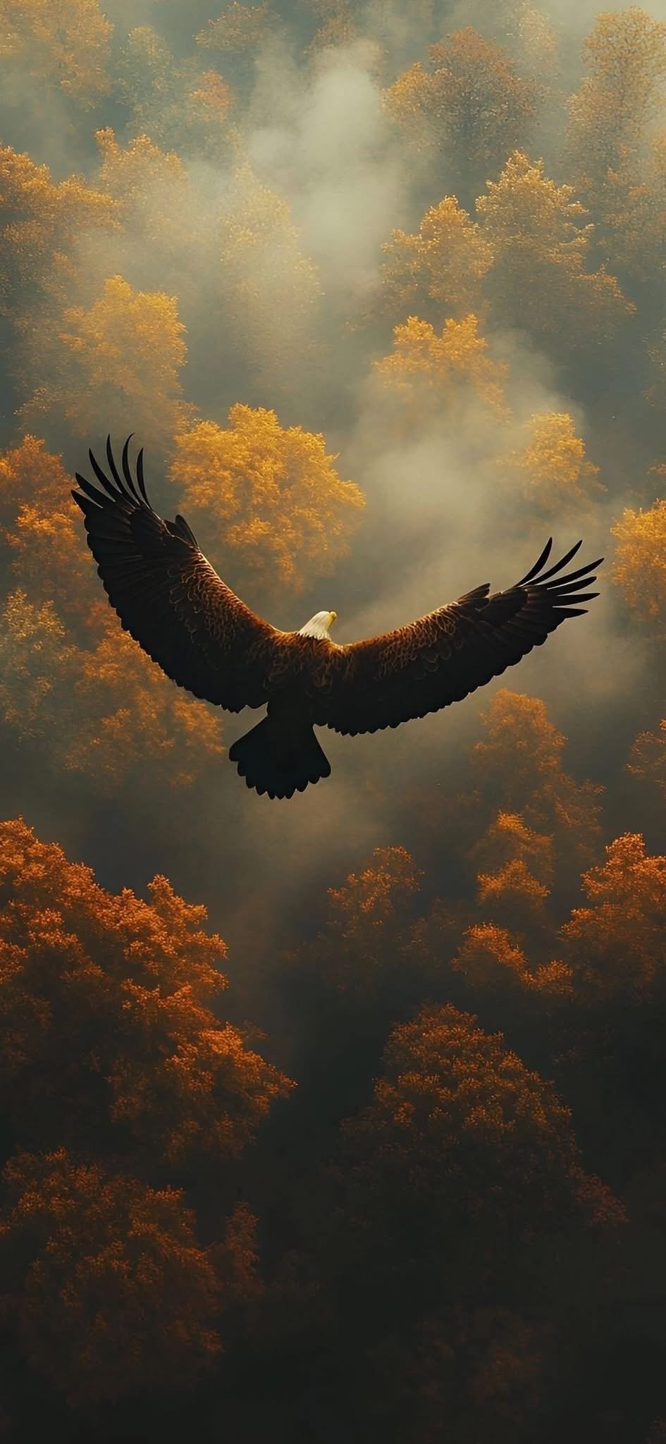 Six Principes de Leadership que Nous Pouvons Apprendre des Aigles
